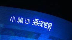 ӍͶӰС÷ɳ矨